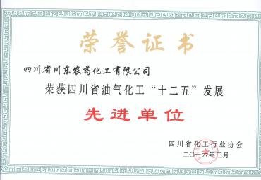 2016年榮獲四川省油氣化工“十二五”發(fā)展先進(jìn)單位