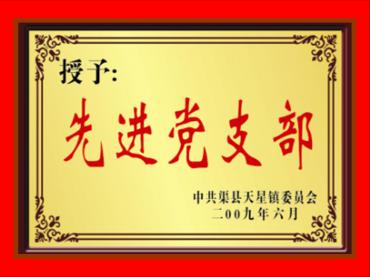 先進(jìn)黨支部